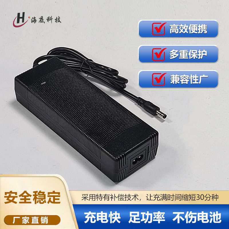 12.6V10A 14.6V10A 16.8V8A 25.2V5A 29.4V5A  充电器