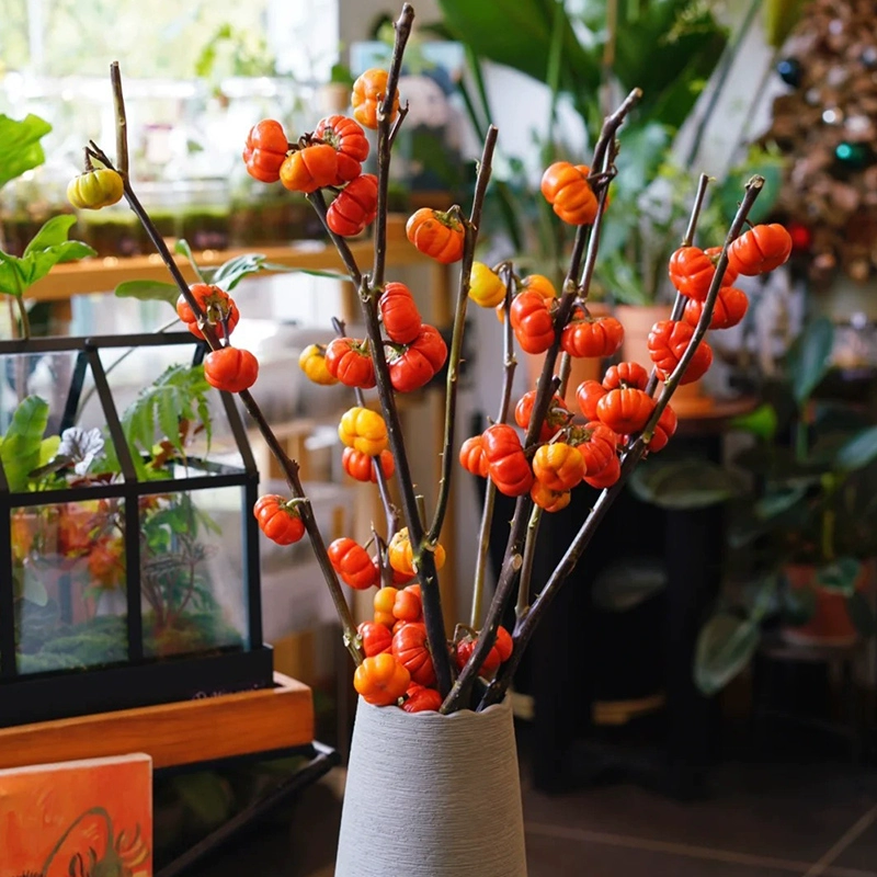 Мини-маленькая тыква Декоративная цветочная база Доунан Прямые волосы