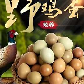 天然土鲜福七彩山鸡蛋新鲜宝宝辅食农家杂粮天然散养土鸡蛋野鸡蛋