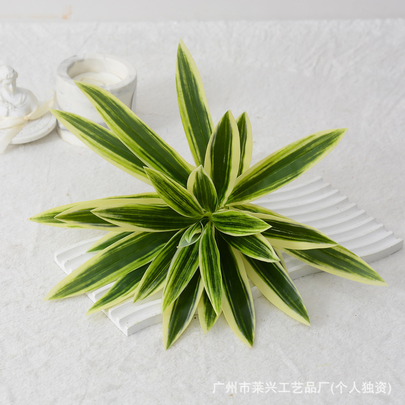 Short branch lily bamboo 26CM-white edge