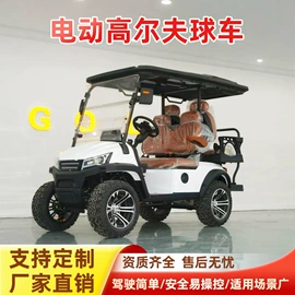 电动观光车;其他电动车;高尔夫球车