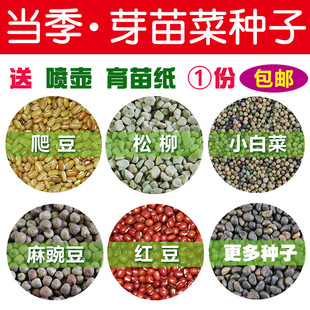 ѿ��˷N���̨ˮ�༈�ϷN���㶹���uë���㶹����ѿ��˷N�ѷN��