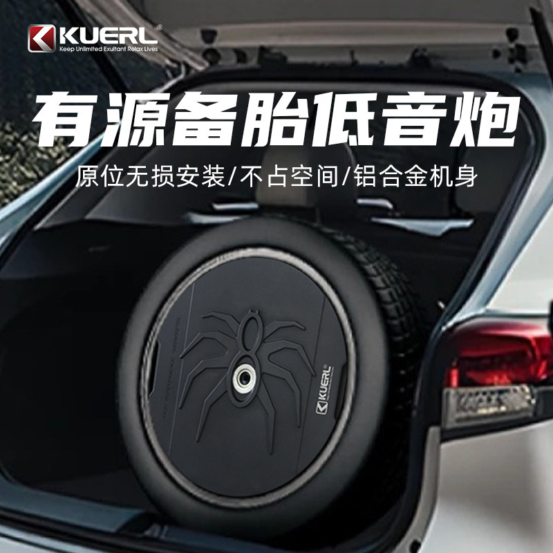 Factory wholesale 12 inch car audio modified active high power 12V car audio spare tire subwoofer