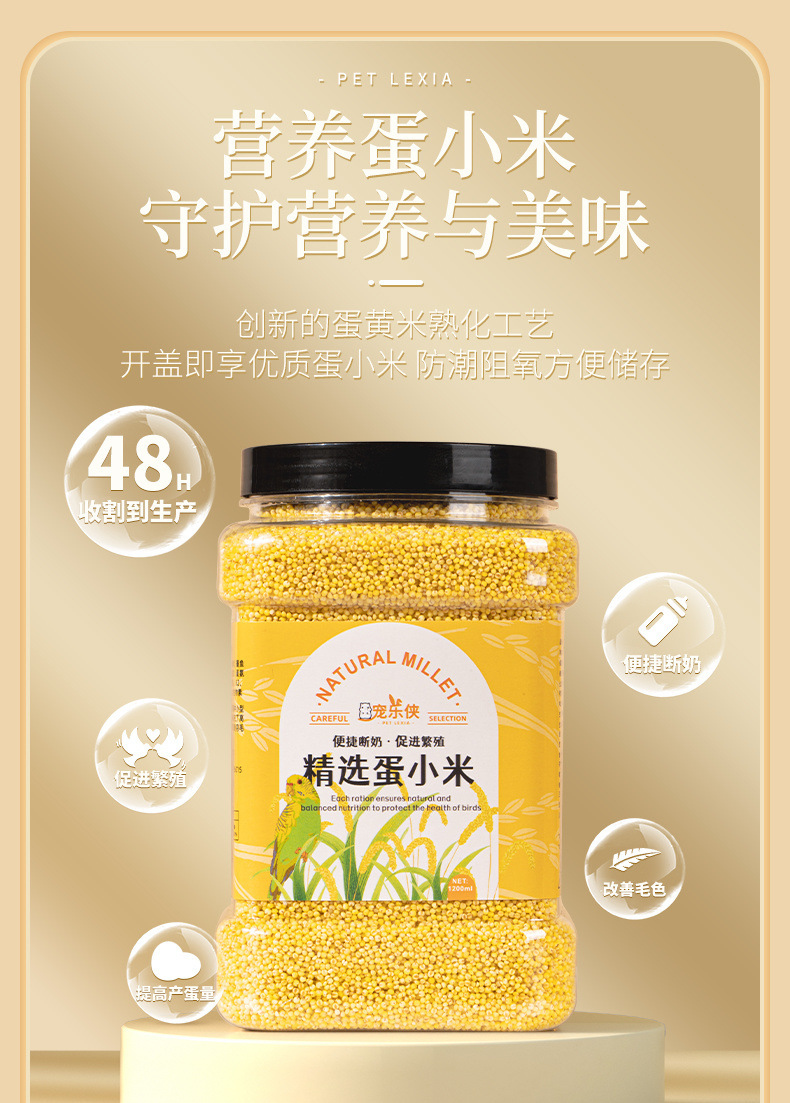 7abb5249-b438-4690-ba60-7f0191313f2a.jpe