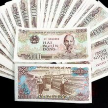 Խ��2000�� ���� 100�� ����X�ż��� ����؛�������������ղ�