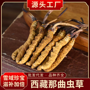 �ɶ��x�Ĳ������������x�Ĳ݂��y���aƷ��؛�x�ݿɶY���������l