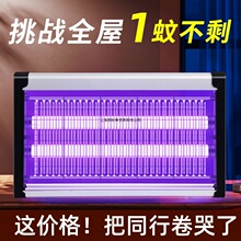 ���ß�������ω��2025�¿��҃ȼ��ò͏d���䁒젝�nω��׽����