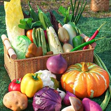 �����߲˼�ˮ��ģ����߃�ͯʳ���Ĕz�[����е��ߘӰ巿�b���