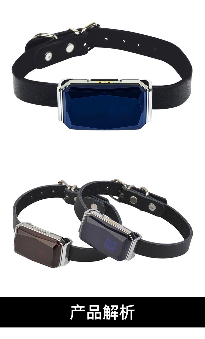 G12 Wearable Waterproof Pet Cat and Dog Gps Locator for the Elderly and Children Anti-Lost Smart Collar Alarm Tracker