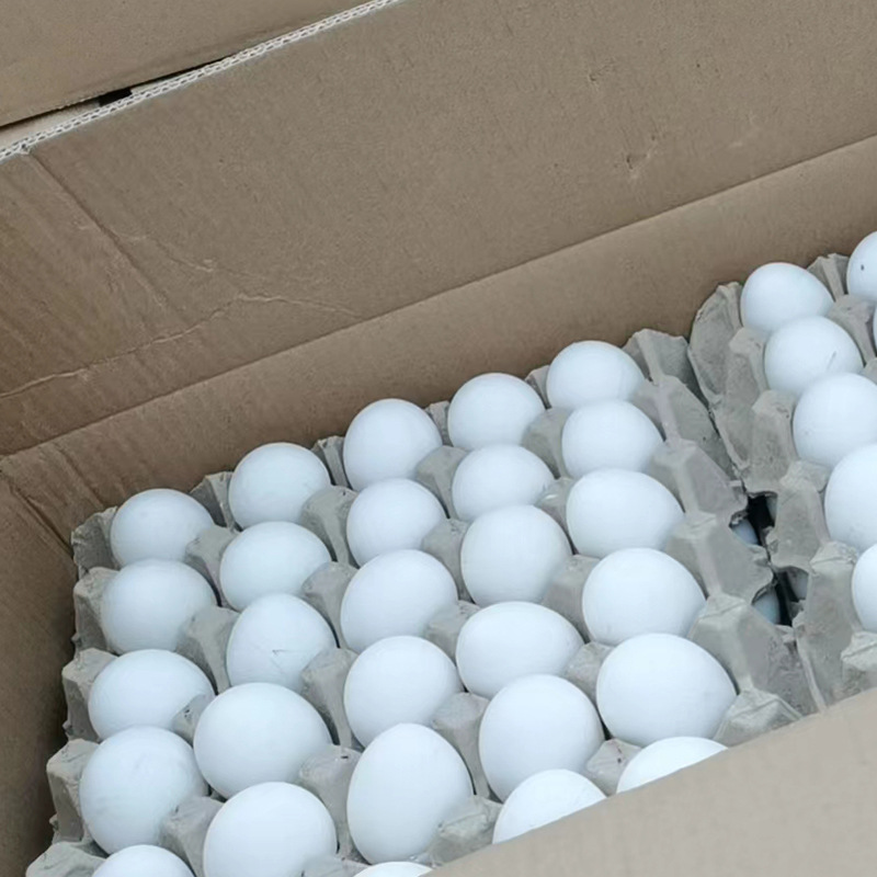 微信图片_202208311137304