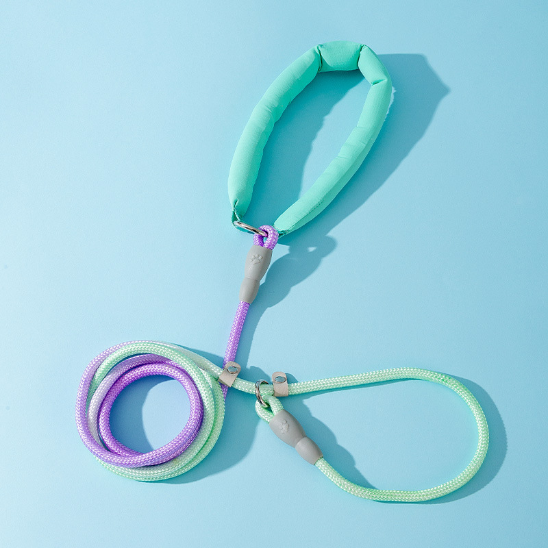 cuerda de tracción de perros sueños gradiente desvanecimiento P cuerda explosión cadena de entrenamiento de perros cuerda de tracción de perros de tamaño medio cuerda de perros