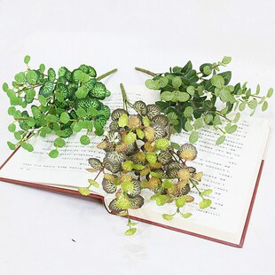 �߷������㺣���~ ���X�~�Ҿ��b� �҃ȾGֲ�쾰���~�ӏS��ֱ�N