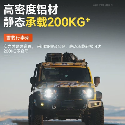 Roof Modular Platform Modified – Roof rack