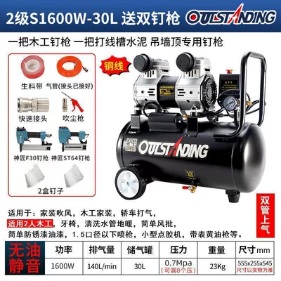 Hava kompressorları Portable Woodworking Air Pump - new-30l-s1600-comes-with-straight-nail-steel-nail-gun