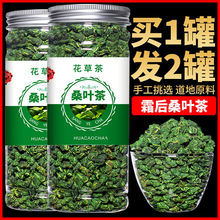 桑叶茶散装500g50g包邮新鲜霜后秋冻桑叶非蒲公英茶