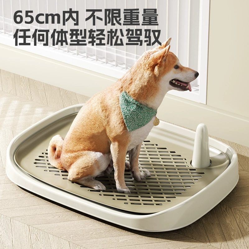 Строго отобранные домашние собаки, унитаз золотистого ретривера