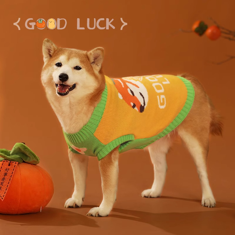 Dog Clothes Autumn and Winter Winter Corgi Fa Dou Puppy Winter Medium-sized Small Dog Pet Warm Sweater Chai Dog