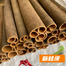 新桂皮广西桂皮产地桂皮大料干货香辛料调料炖煮卤菜香料卤水