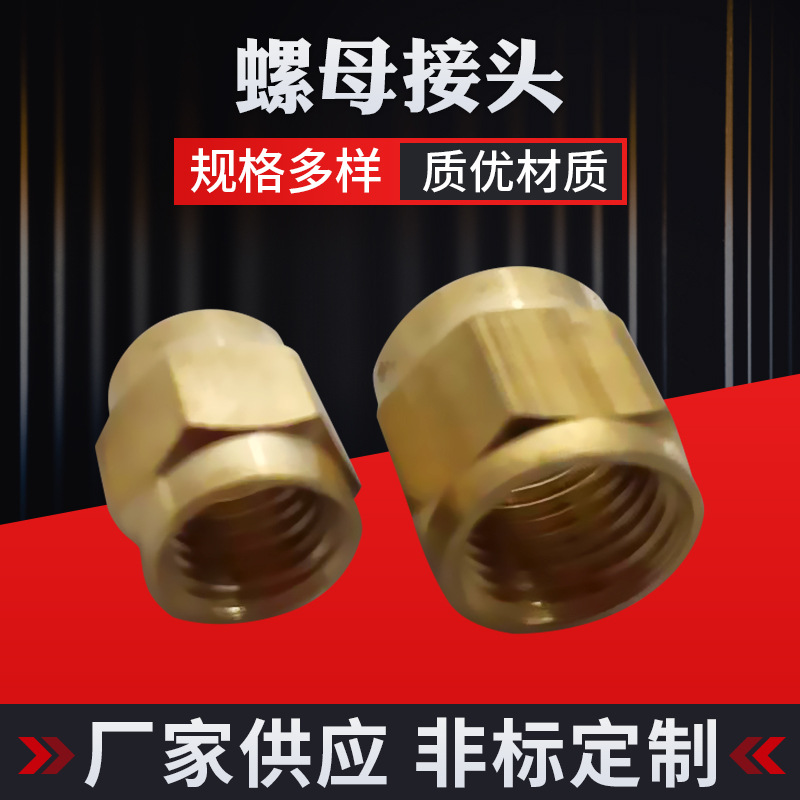 空心螺栓六角压缩螺母锥形螺母T型螺母T帽内螺纹直通接头