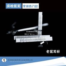 老鼠双面耳标可小白鼠耳钉编号不锈钢耳标大小鼠耳标钳耳标钳无票