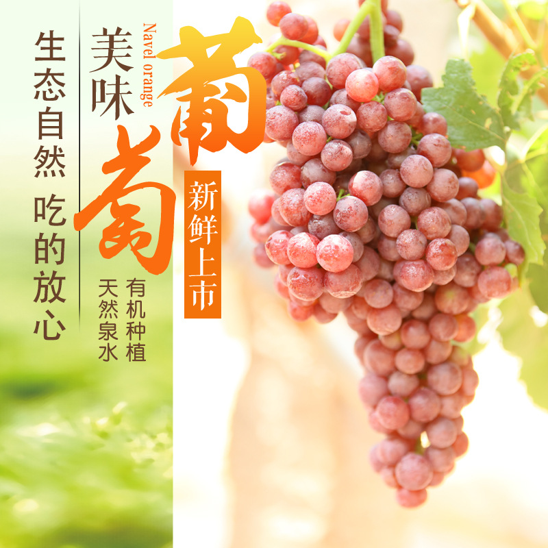 Yunnan Glass Jade grape fresh Base Straight hair Season fresh Fruit 3