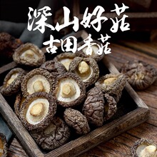 �����㹽�ɶ���ɢ�b���خa�o��ʳ�þ����l���؟o������㹽ԭ��