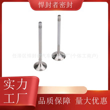 发动系统进排气门2710501127 适用奔驰M271 进气门 A2710501127