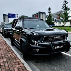 ホーバーの二世代の大きい犬の自動車の装飾はヘッドライトを貼って爪の車を飾ります。