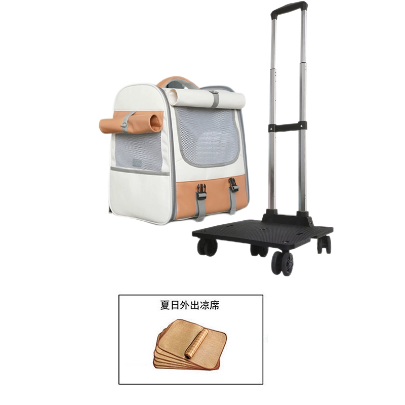 Suitcase to go out, capacious backpack