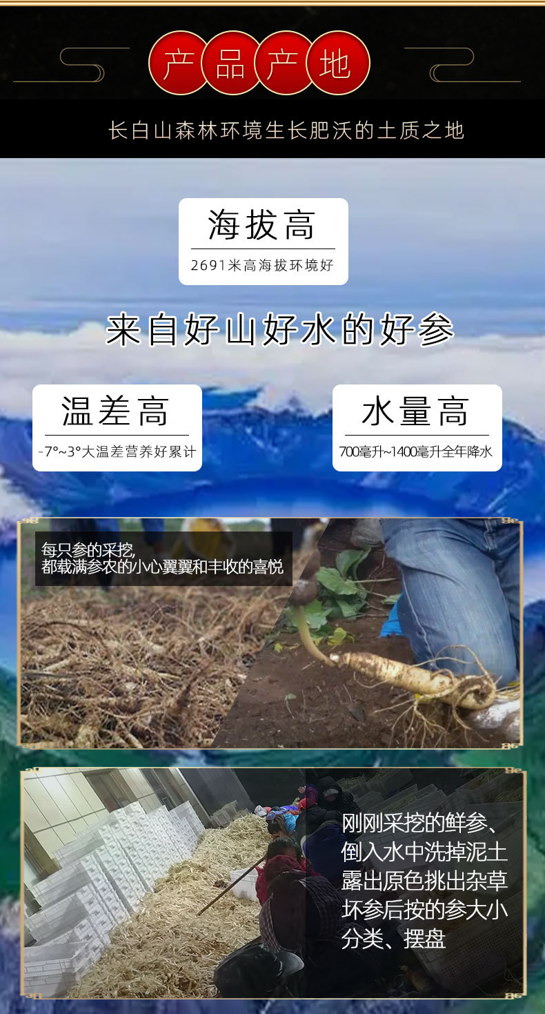 Changbai Mountain Sun-Dried Ginseng Whole Root Slices for Soup Tea and Wine Soaking quality and texture