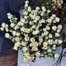 ɻƷˇWt͏ddiyյˇgҾ