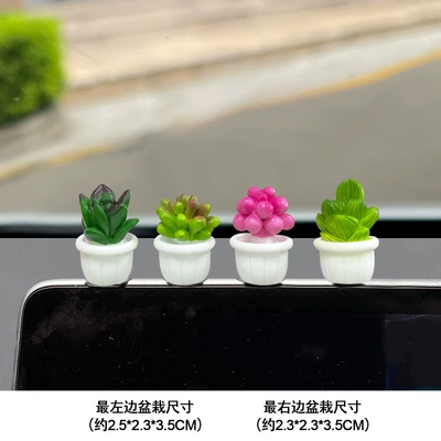 Car ornaments | Rearview Mirror Navigator Center - new-succulent-group-a