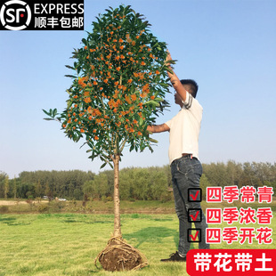 һlļ𻨘ͥԺԭ҃԰µ