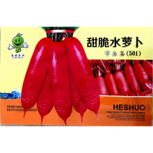 ����ˮ�}���N�ӻ�Ƥ���tƤˮ�}���N���＾�̨�ļ��߲˷N�݃�