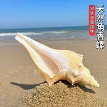 ����ݺ���ؐ����ˇƷdiy�~��ˮ�儓���쾰�ľ�з��Q���b[��
