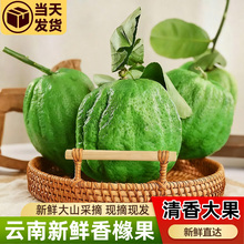 ��ϸ�ɽ�㙴�����r���ָ�ؕƷ���ش����������r���F��ժ���l