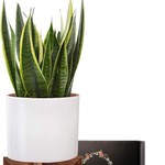 花盆展示架植物圆形木质植物花盆托落地式盆景架花盆架