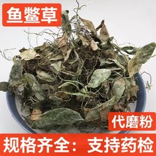 鱼鳖草 中药材 抱石莲  瓜子菜 石瓜子 鱼鳖金星 金龟藤 抱树莲