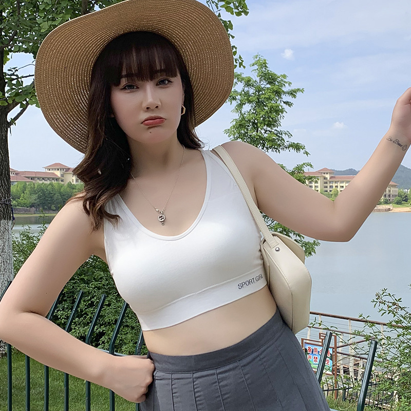 화이트