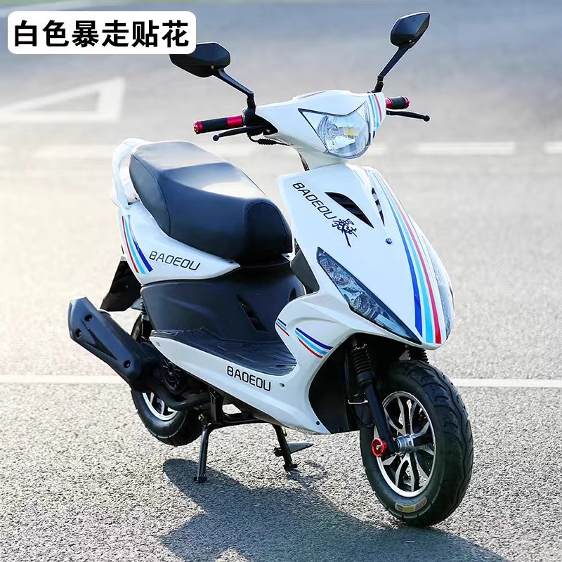Factory Direct Sales Electric Injection Motorcycle, Universal Model for Adults, Fuel-Efficient Scooter, Outdoor Long-Range Heavy-Duty Motorcycle