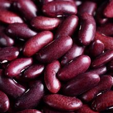云南红腰豆大粒新鲜  高原腰豆商用紫红芸豆大红豆芸豆批发做馅料