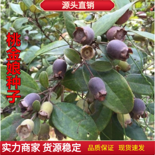 �ҽ���N�� ��������ɽǌ��ɏ������Ҿ��ﮔ�����Ә�N�Ӱ��]