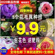 �M�ڻ�ëݢ�N����ĵ���ذ���������׻��ͺ��ļ��҃ȷN�ӻ��܈@ˇ