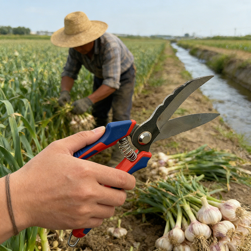 图片背景添加 (13).png