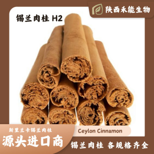 �a�m���H2 ˹���m���M��Silvermill�־��a�m�������������ζ