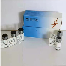 ��֤����ˮ������CAS:77-92-9  HPLC&ge;99%  20mg �����Լ�