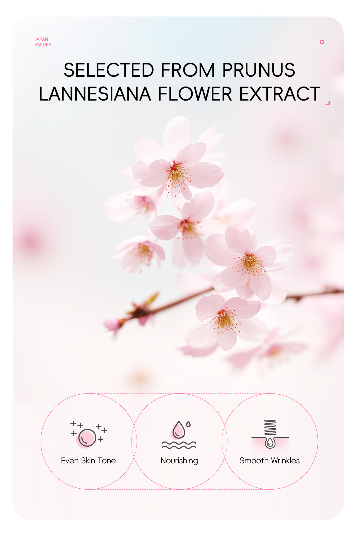 Cross-border laikou Cherry Blossom Peel-off Mask 50g (Color Box) Pore-cleansing, hydrating and moisturizing skin care product manufacturer undefined