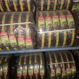 其他轮胎;电动车轮胎;车身及附件