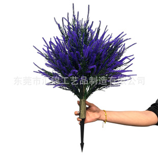 ���R�d�羳�������컨޹�²ݲ軨õ�廨���N�����ϵز�ֲ��[�OƷ