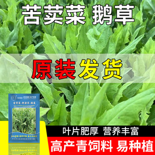 ���~���ݷN�Ӷ��������{�˷N���Z�˷N���ļ��������i�u���Z�N��